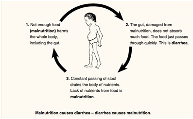 malnutrition cycle