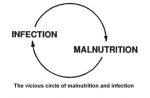 malnutrition-infection