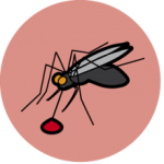 The circle icon for Malaria - an illustration of mosquito with a drop of blood on a dark pink background.