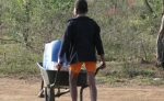 childwithwheelbarrow