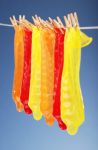 iStock_000005514663_ExtraSmall