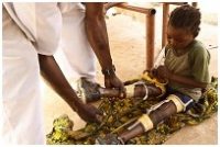 Polio Fact Sheet - Children for Health