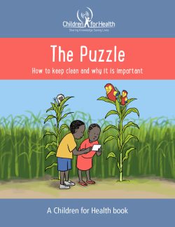 The Puzzle Book Cover