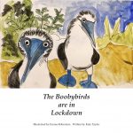 The Boobybirds are in Lockdown