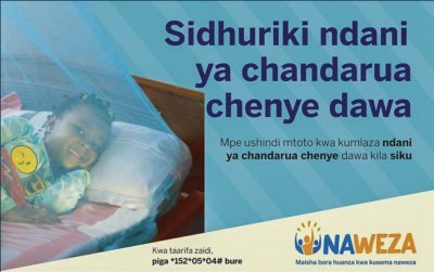 Child under bed net Tanzania