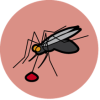 The circle icon for Malaria - an illustration of mosquito with a drop of blood on a dark pink background.