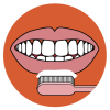 Oral Health